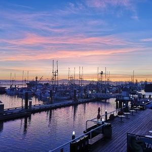 Meet your Posher, Georgina